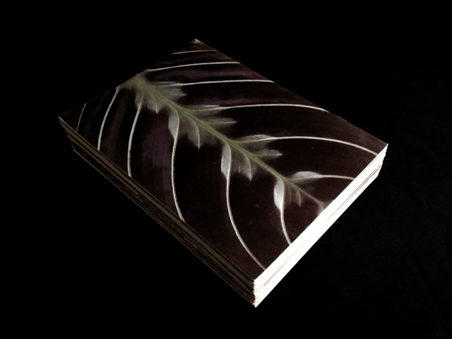 The Photo - magazine