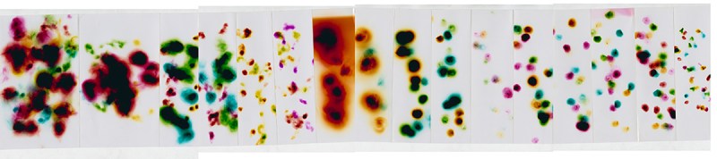 Esme Horne DWMA 3 to size