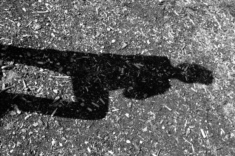 PeteFDavies_Section8_3