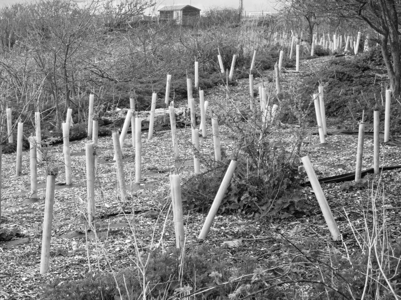 Rich-Cutler_Section-4_3