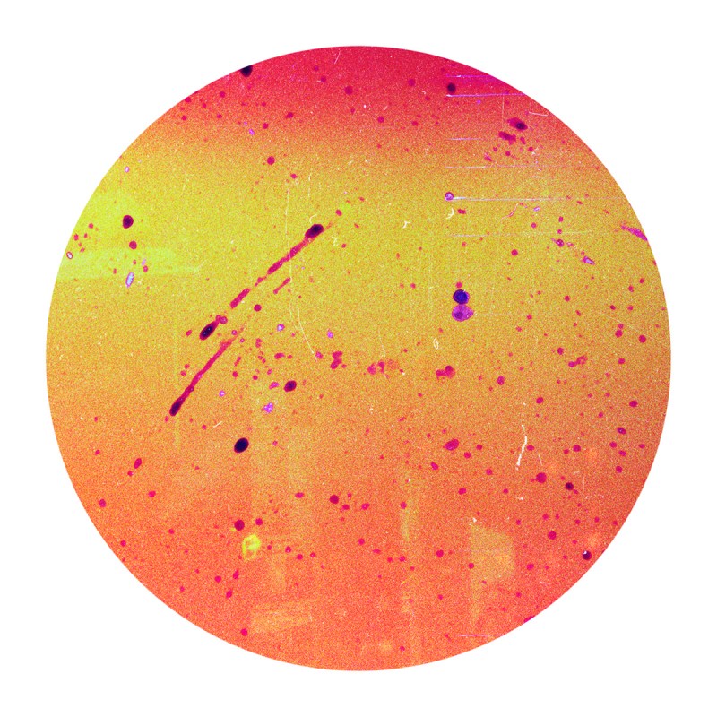 martabenavides-eclipse3