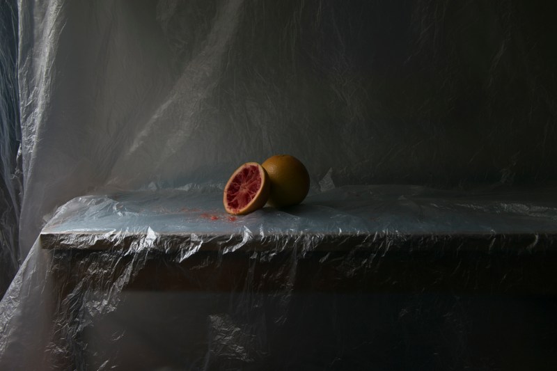 ThomasDuffield (1 of 15)