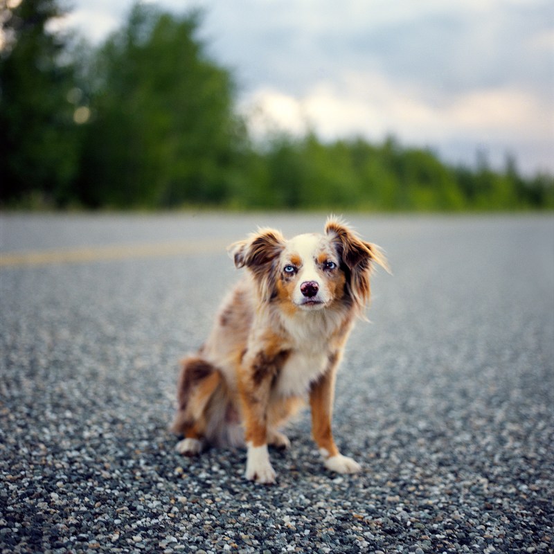 Copyright Jim Stephenson 2018